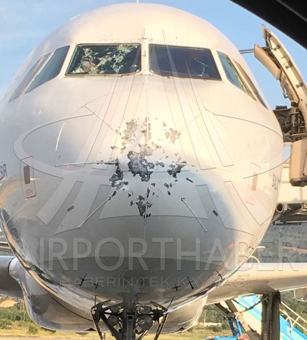  Посмотреть изображение в Твиттере 