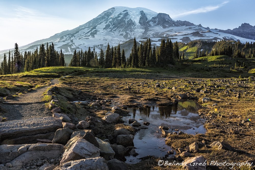 Belinda Greb tweet media
