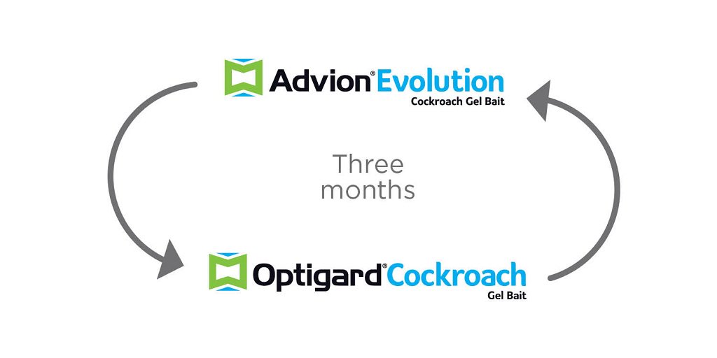 SyngentaPest's tweet image. The life cycle of a German cockroach is 3 months. Rotating products to match is recommended. - @NickySYNBugs #CockroachSolutions