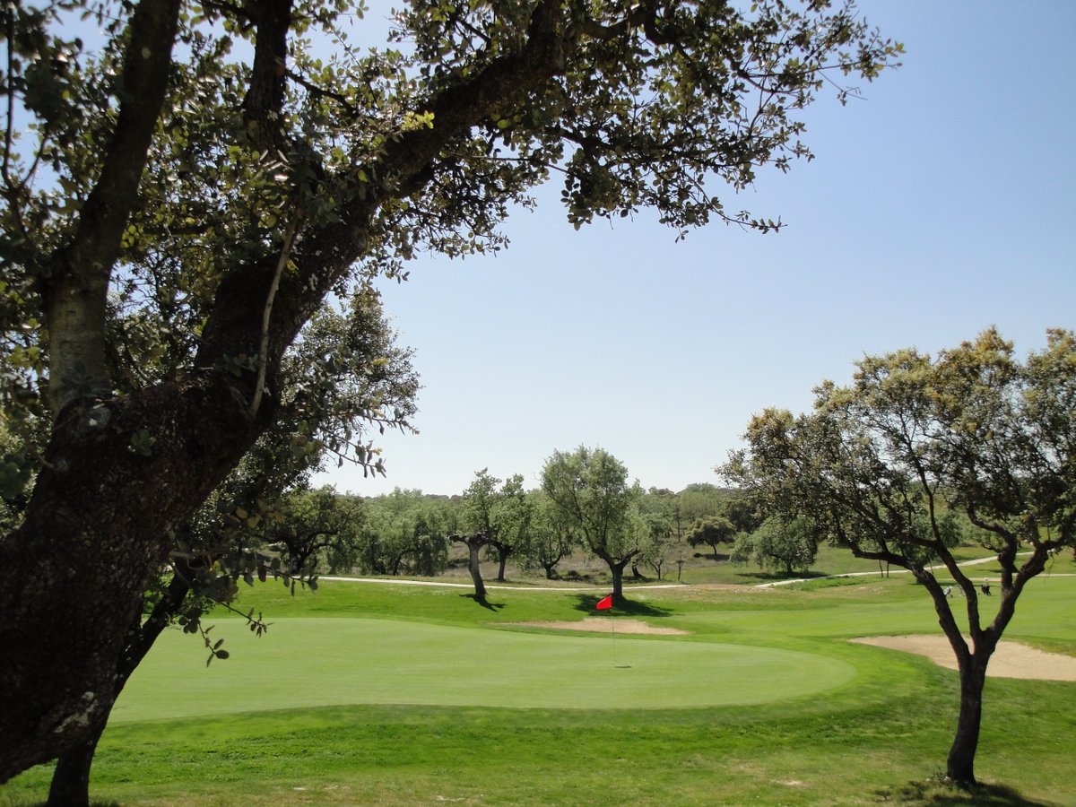 Para vivir hay que querer vivir
¡#FelizJueves de #golf desde <a href="/TalayuelaGolf/">Talayuela Golf</a>!