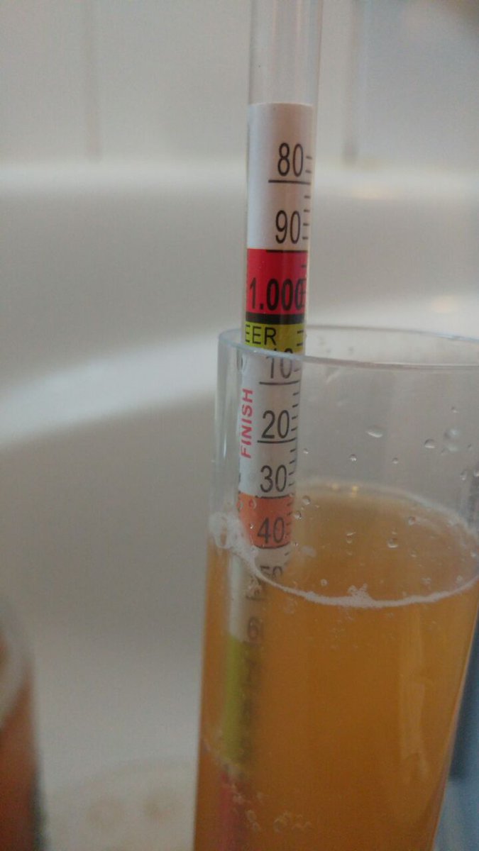 blamefinger's tweet image. New experimental 5 litre batch of cider done. Using shop bought, but different juice this time. SG 1.045 #bio #wild #austrian