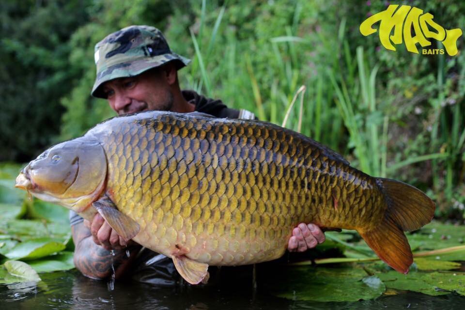 madbaits's tweet photo. @JerryHammond_ with 'Arnie' at 42lb 8oz!!
Full story - https://t.co/ENnOiKJ64a
#MADBaits #PureMadness #NutSupreme #CompulsiveAnglerRange https://t.co/7fmIXCJnix