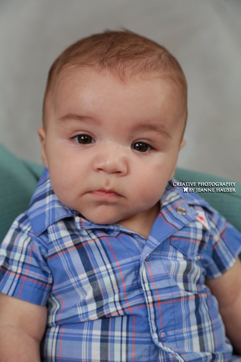 jeannehauser1's tweet photo. #GrayTheGreat is 5 mos &amp; couldn't get any cuter if he tried!! #CPBJH @MRandallABC6 @CoachRandall215 https://t.co/YCfzsOke51