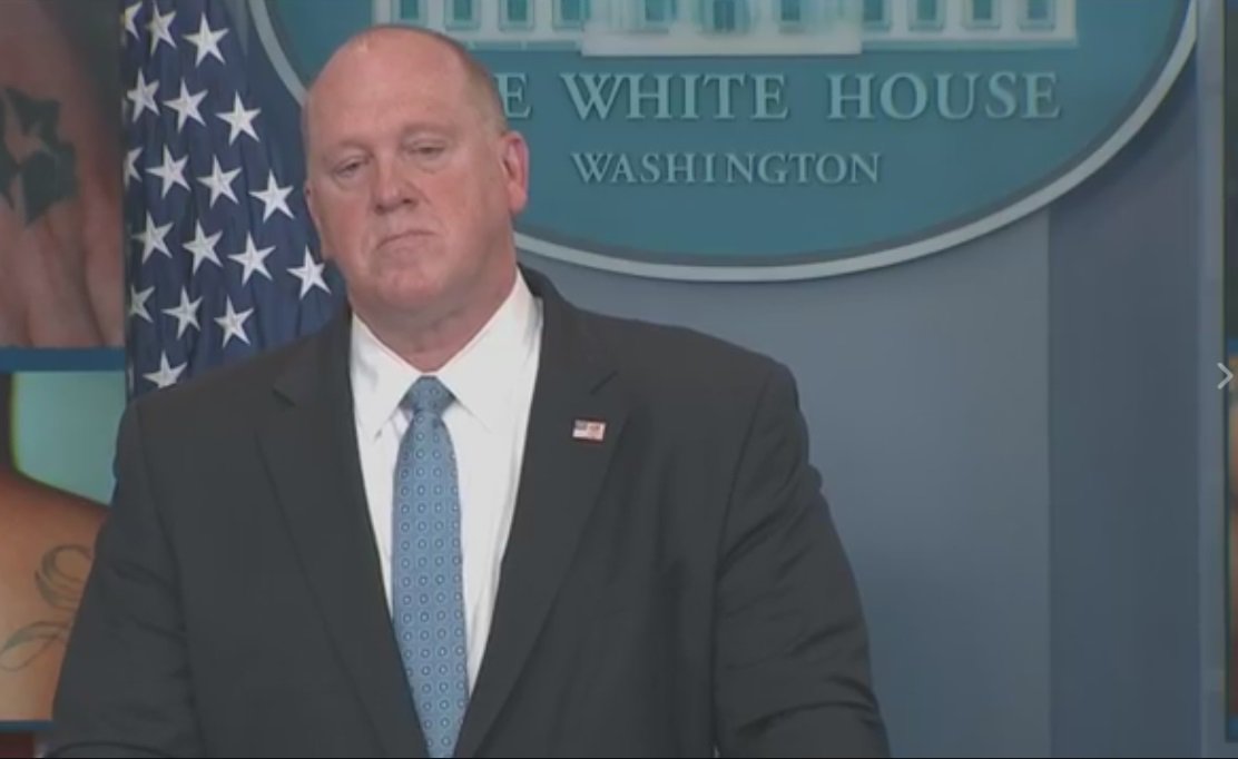 "Sanctuary cities are criminals’ biggest friend," ICE acting director just said during White House press briefing. https://t.co/huIezF8cuk