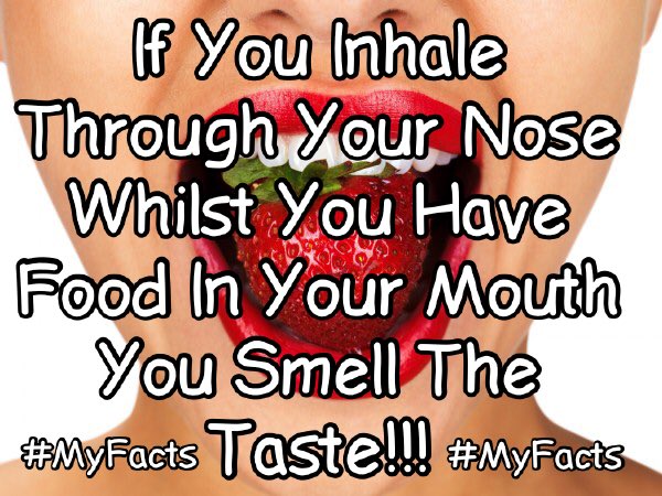 BeyondTruth9's tweet image. #Food #Taste #Smell  @GordonRamsay #Facts #tryit #Chef #gordonramsay #CheckInstagramAcc 👌 @jamieoliver #foodforthought #Vegan #Wisdom 👌
