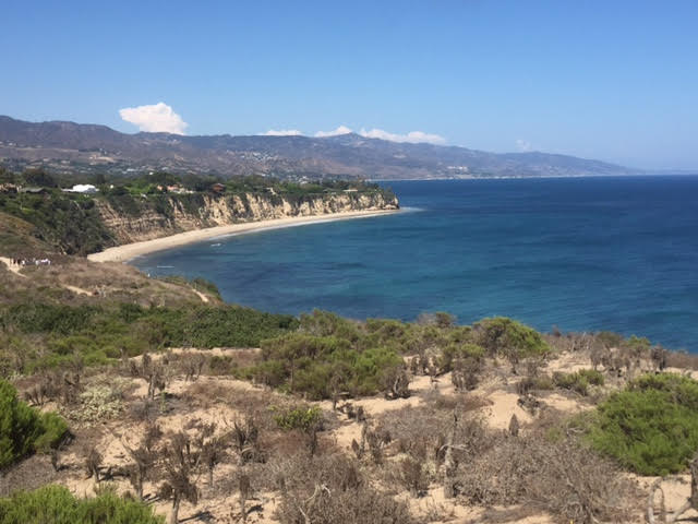 ranhoder's tweet photo. Beautiful Pointe Dume–where I went yesterday afternoon w/ @GatsbyInLA, @MaryHelenBerg for a respite from the DJT/GOP shit show.
#WhyILoveLA https://t.co/8nrFG4j4r7