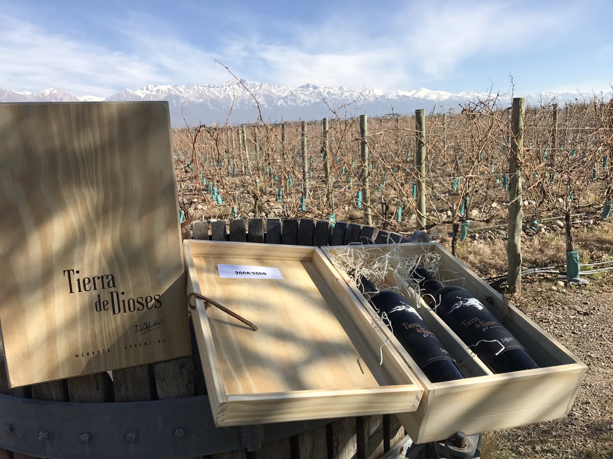 Tierra de dioses 2008 y 2009  vertical en #gimenezriili  !tremendos vinos