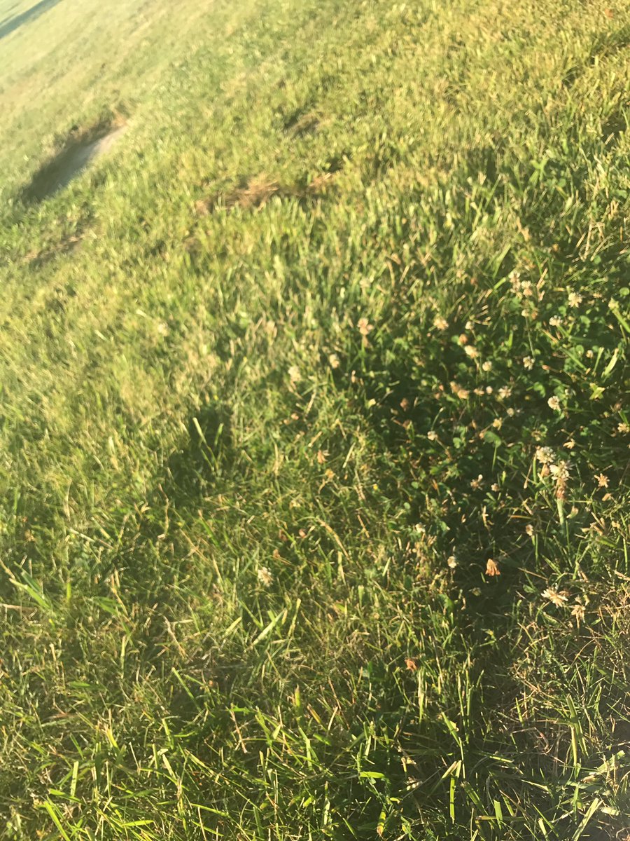 I_Love_Pey_Pey's tweet image. #LLBT #BESTFRIENDSFOREVER 💙