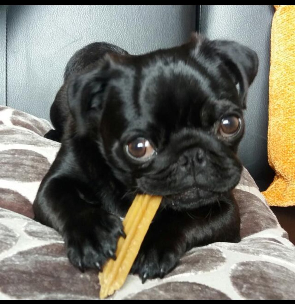 WHAT!......that's my girl....