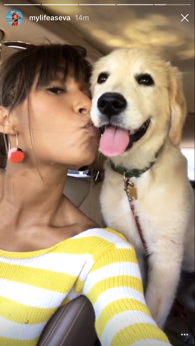 evasrainbows's tweet photo. THE BANGS ARE BACK AND HANAlEI IS BACK LIFE IS AWESOME @lifeaseva https://t.co/4ZD6EGSPPW
