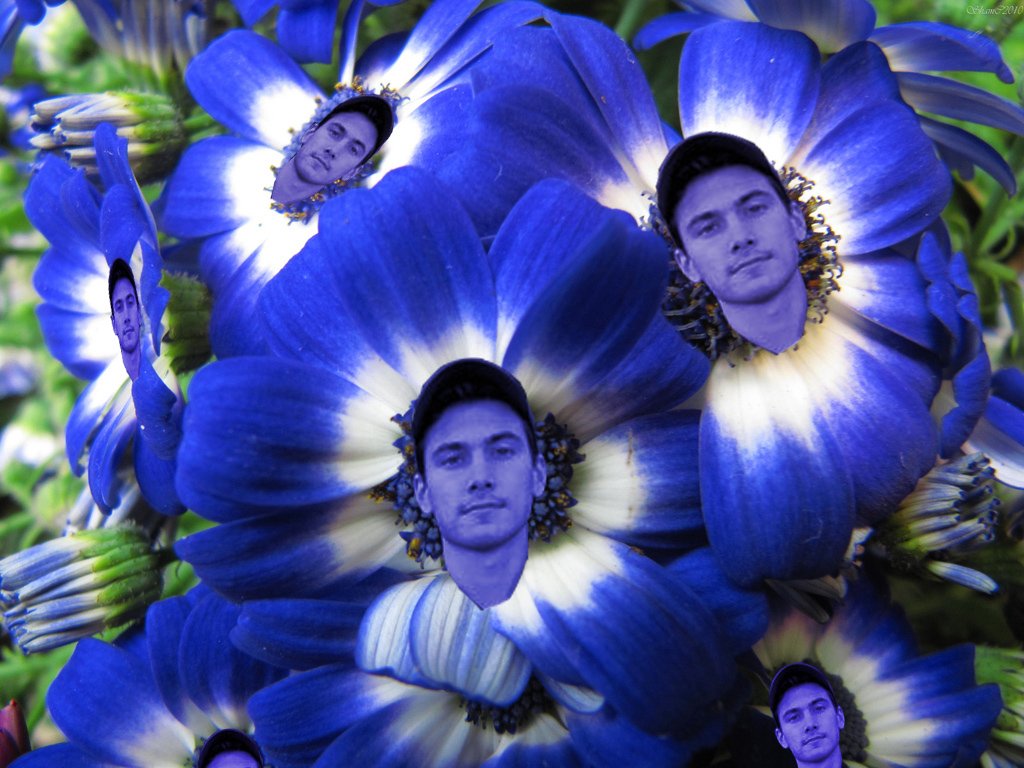 CollinIsFlower's tweet image. 