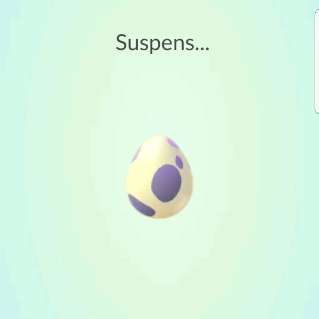 titialex's tweet photo. Ouverture d'un Oeuf #Pokemon dans #PokemonGO #scorplane
https://t.co/3kidl86LjO https://t.co/TWzQUrtF9R