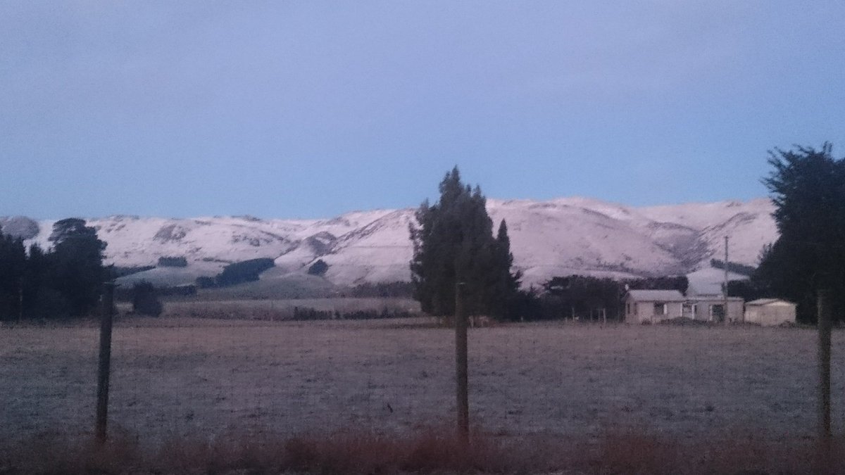 wainuidairies's tweet photo. Bit chilly this morning, can see why! https://t.co/I4gl5zxfwV