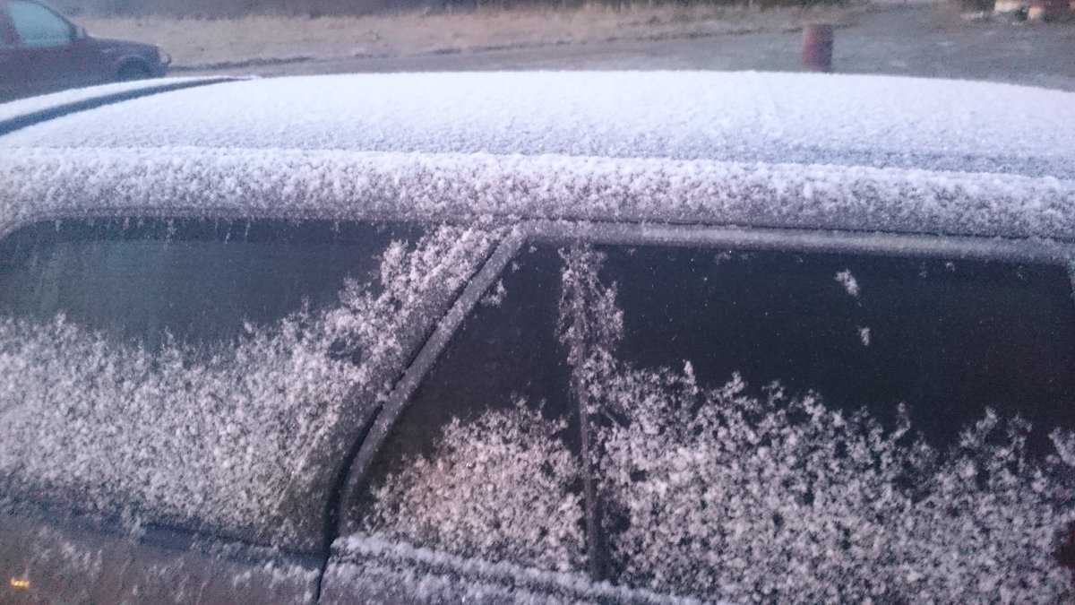 wainuidairies's tweet photo. Bit chilly this morning, can see why! https://t.co/I4gl5zxfwV
