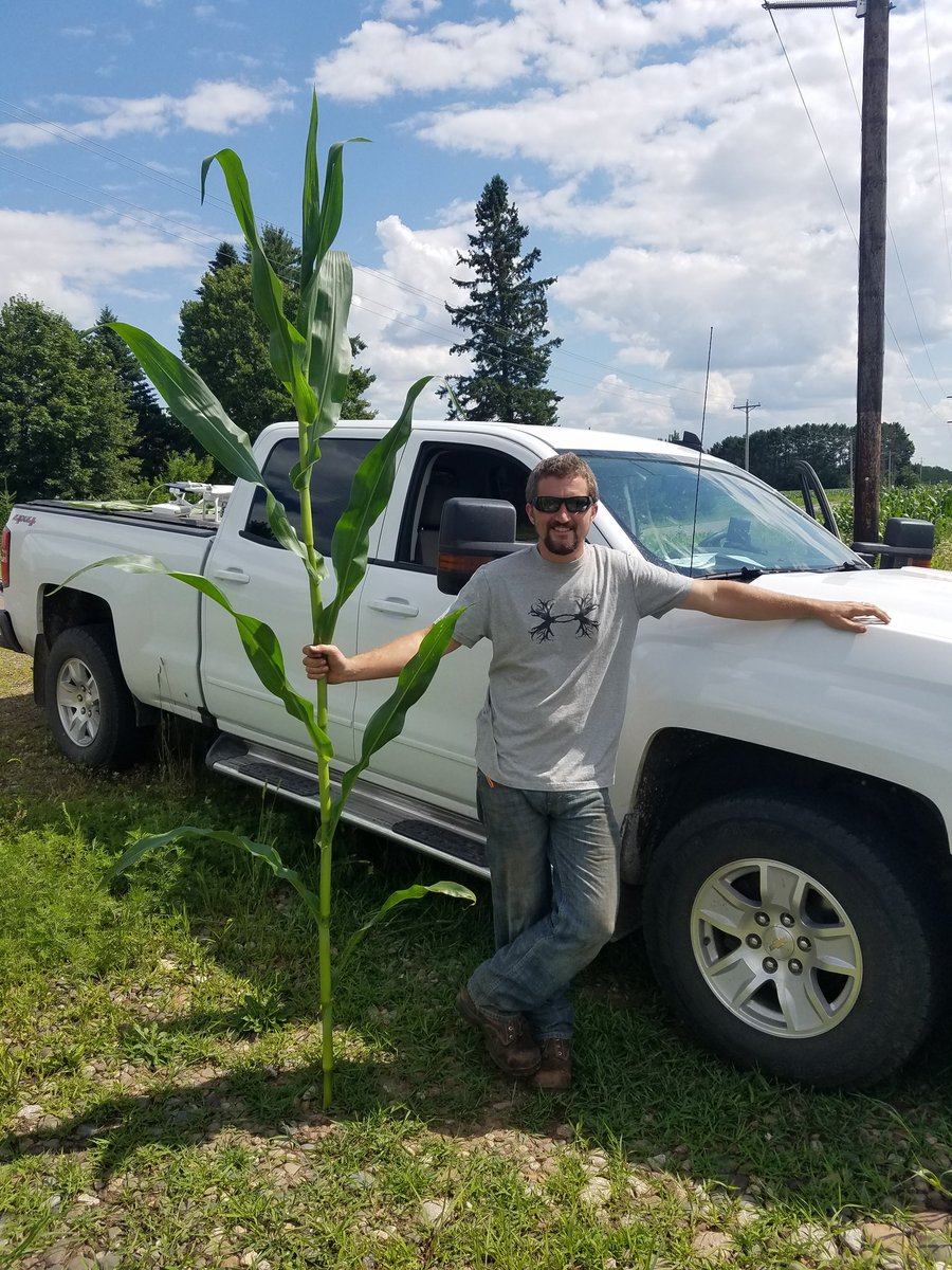 nickpernsteiner's tweet photo. Pioneer P9675R with United Pride Dairy https://t.co/SMF85JzZZ5
