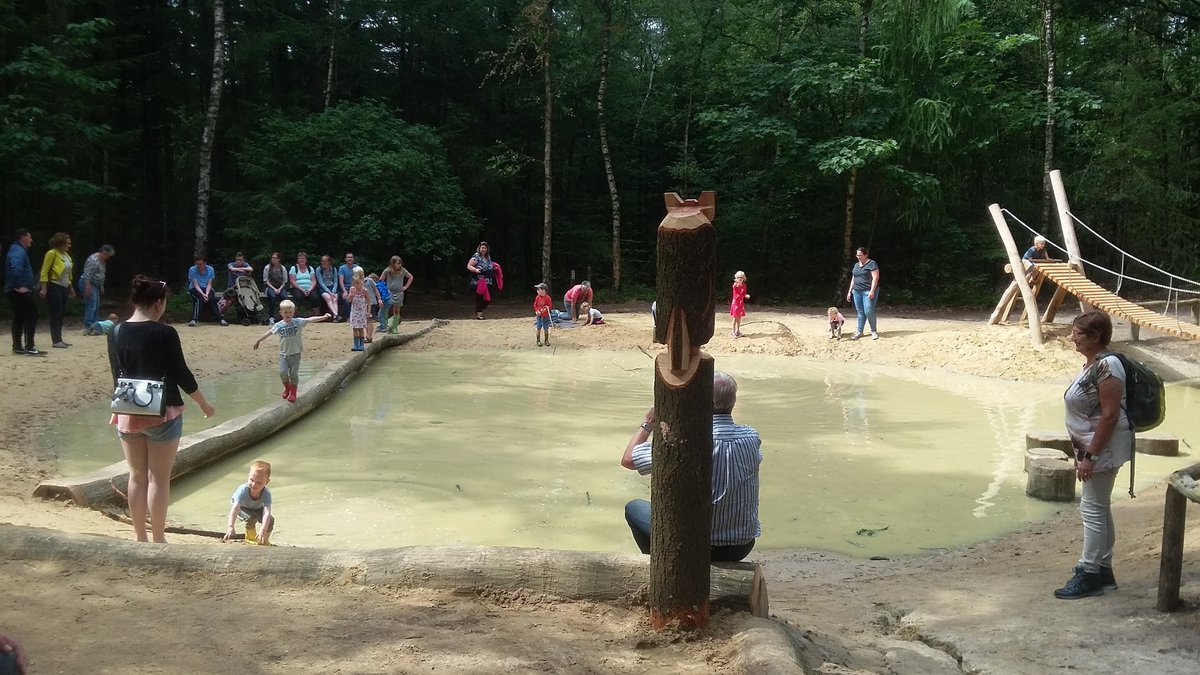 Stapstenen, nieuwe loopbrug en een nieuwe hangbrug in het speelbos van #Staatsbosbeheer op de #SallandseHeuvelrug. Nu al veel belangstelling