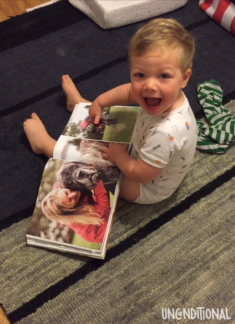ProjUnconditnal's tweet photo. Everyone loves cute stories about unconditional love and senior dogs!🐶❤️
#CutestReader #ProjectUnconditional #OlderDogsDeeperLove https://t.co/h690hr55eg
