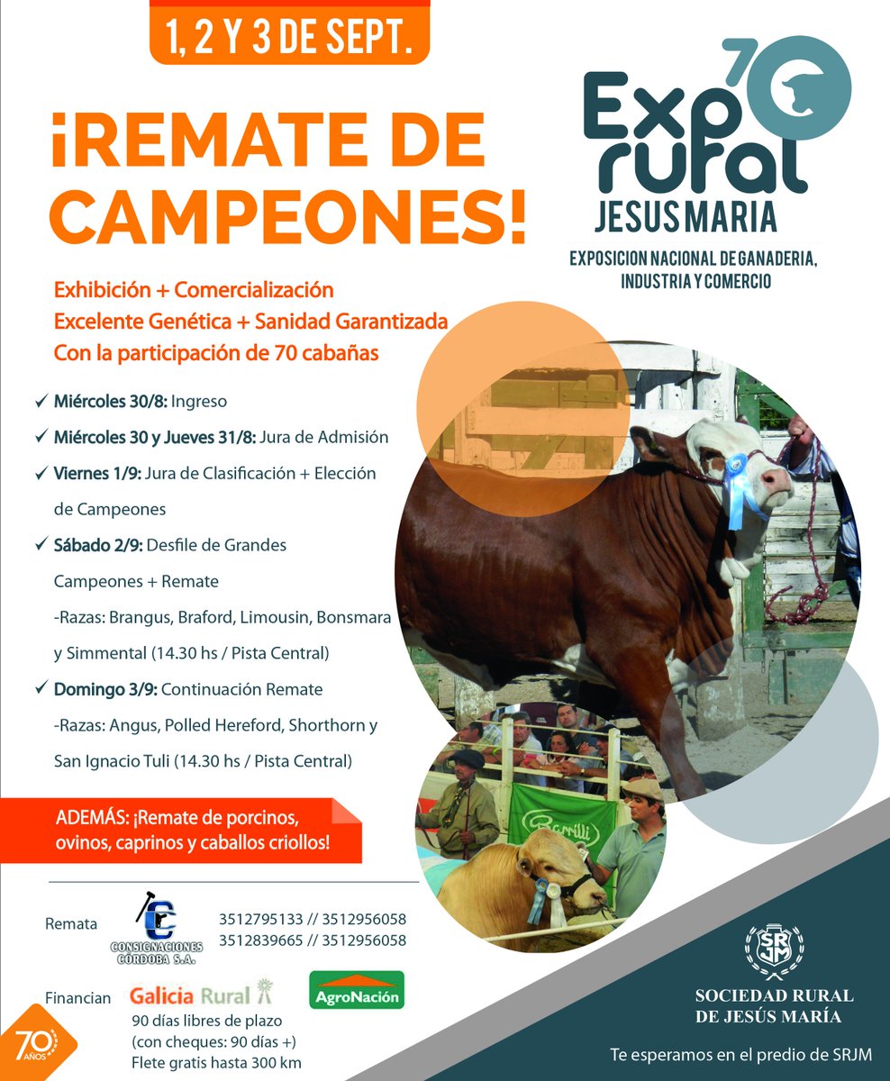 srjmcba's tweet image. #Genética #Rusticidad #70ExpoRural DESPUÉS DE #PALERMO, LOS #CAMPEONES SE REMATAN EN EL CORAZÓN DE LA ARGENTINA ►goo.gl/AK1Bnw