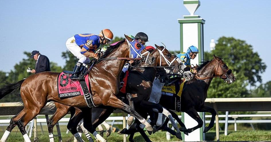 Road to the Breeders' Cup: Haskell Headlines Busy Weekend #BCSweepstakes #WinAndYoureIN - sot.ag/6ww04