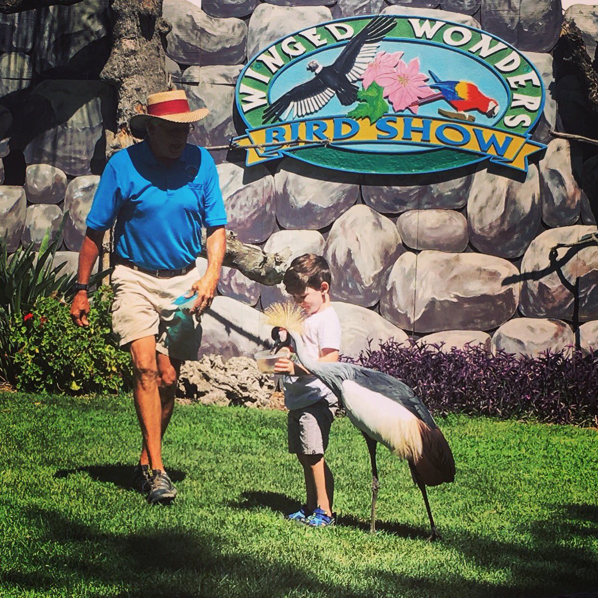 frogs_snails's tweet photo. When your four and your biggest dream comes true! 💕 #theboylovesbirds https://t.co/OJ3Vq8dz64