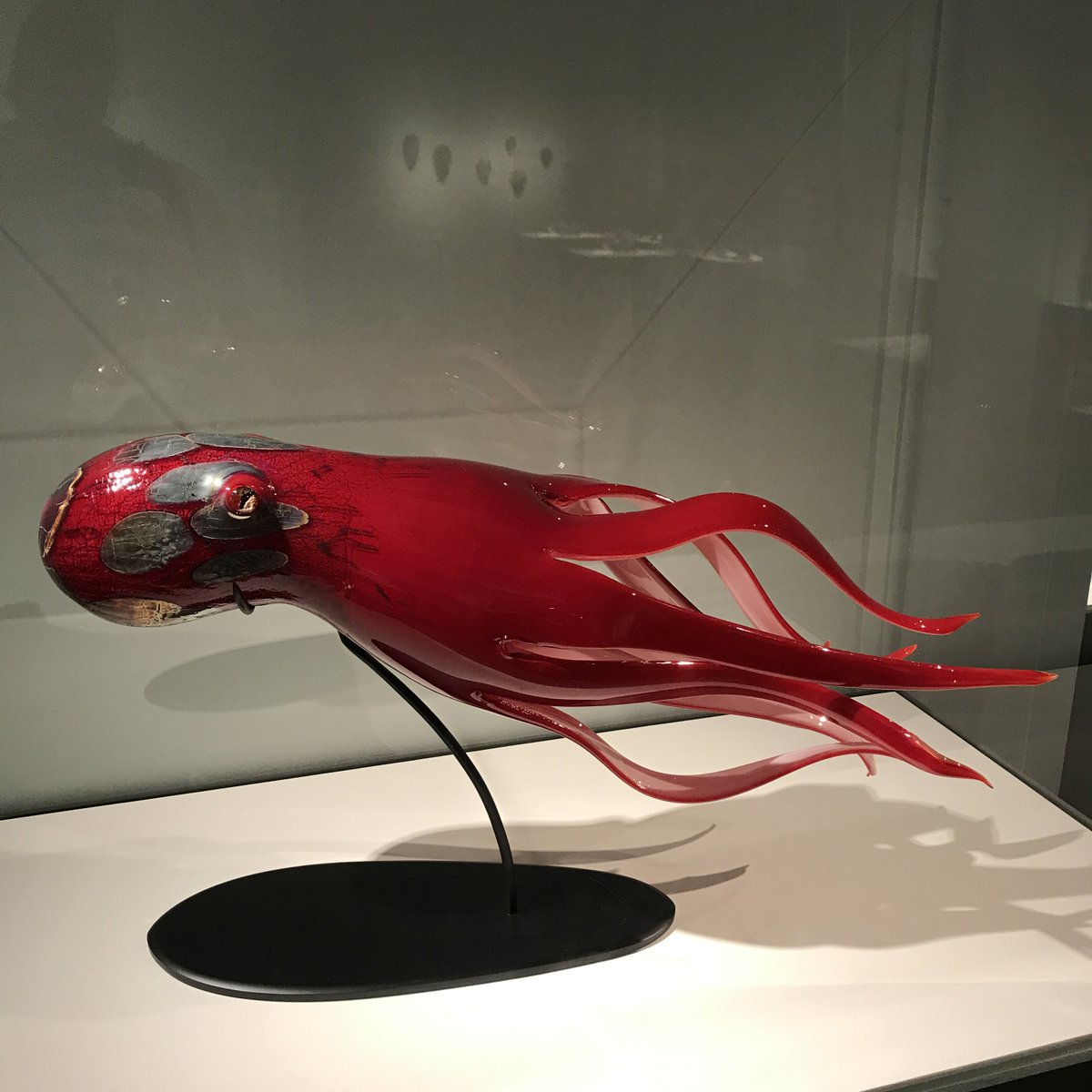 Giant Pacific Octopus by #RavenSkyriver @MuseumofGlass