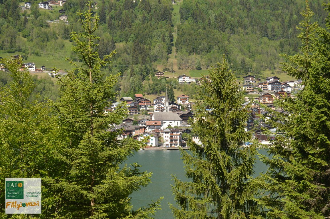 FAI_Veneto's tweet photo. Il 12-13 Agosto #FaiUnGiroInVilla con il #FaiGiovaniBelluno sul lago di #Alleghe - Villa Paganini Ruspoli 

https://t.co/B3Z1uwLVfr https://t.co/i6dUYpqgwF