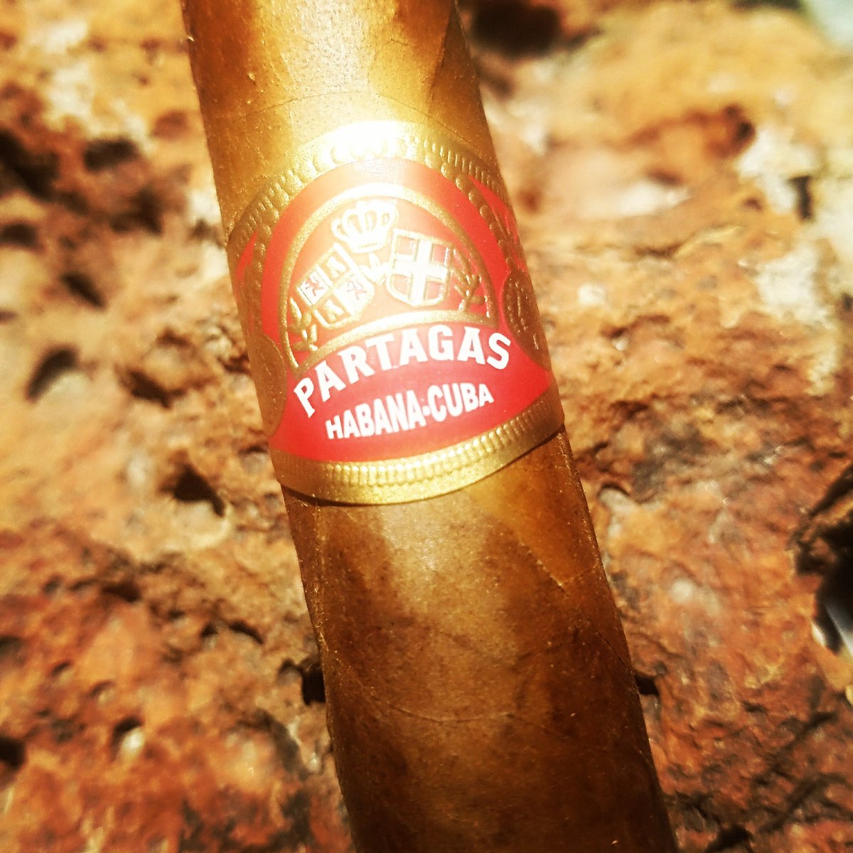 CigarrOApp's tweet photo. This #Partagas Lusitanias is aged 5 years. About to smoke this great #cigar https://t.co/LpDSDGgite