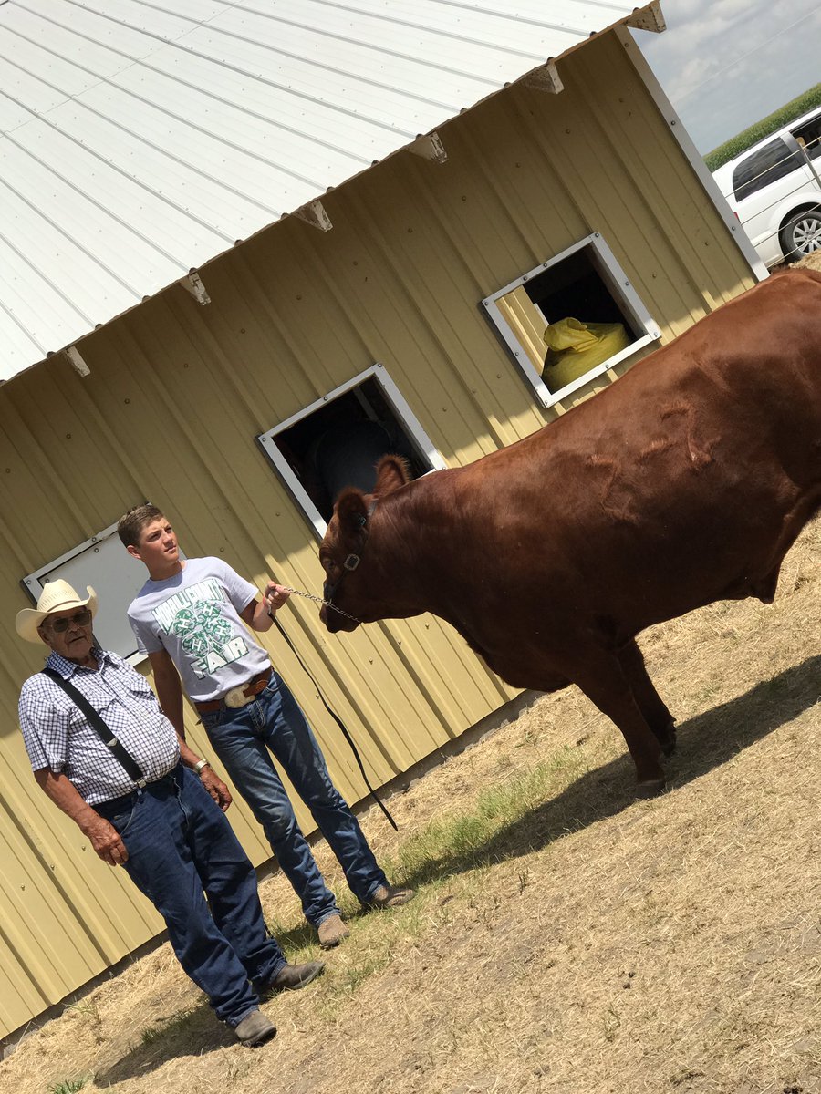 thecirclelranch's tweet photo. I really love #beef #showday!! #fair #moco2017 #circlelranch #faithfamilyranching #ranchkids #redangus https://t.co/hAHJQoQA8G