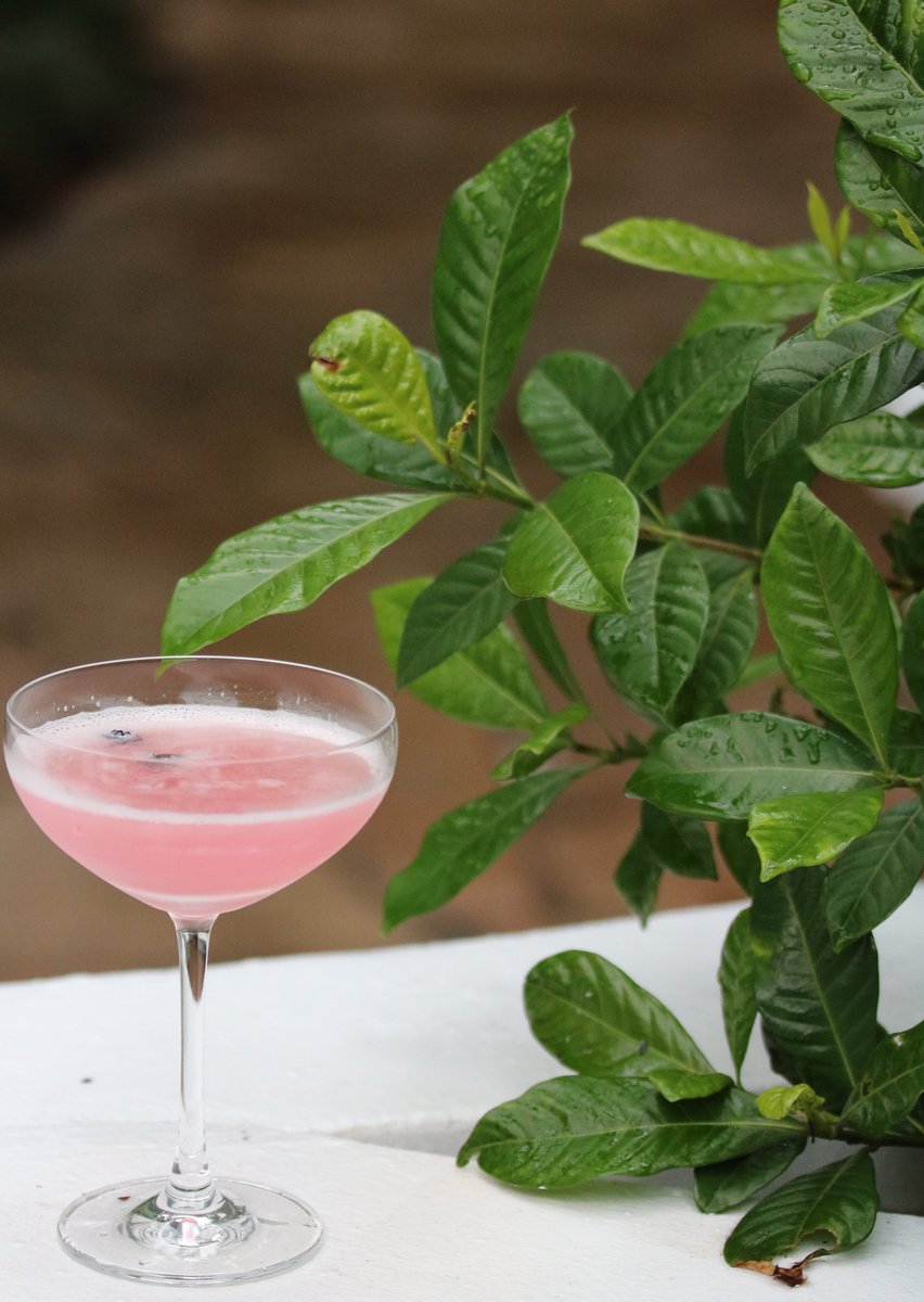 A meal isn't complete without a refreshing cocktail from the best mixologist around town!