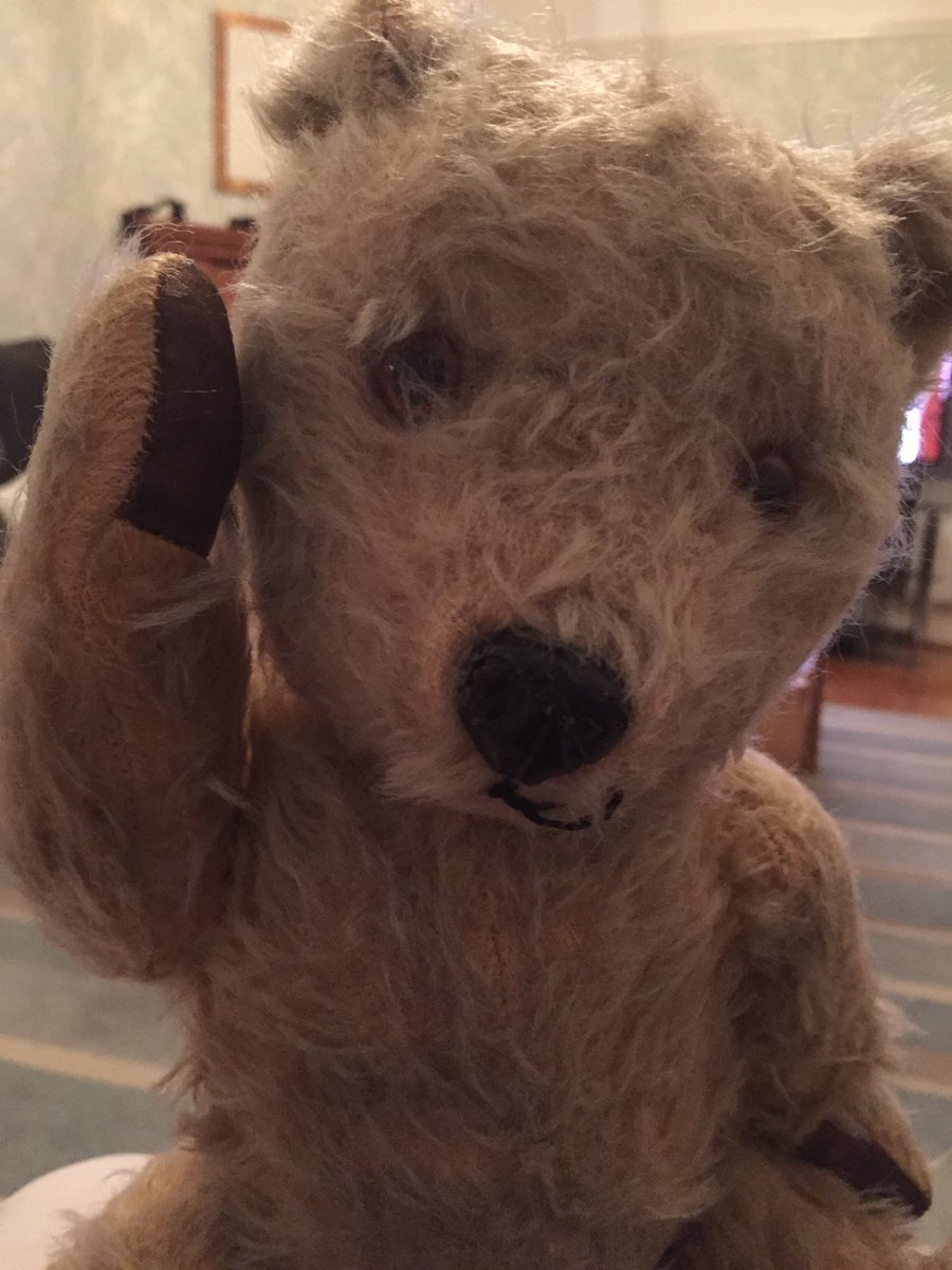 westiecarson's tweet photo. @ToddyFur Okey dokey #keepfits #GilbertBear https://t.co/LQWkVYHjV5