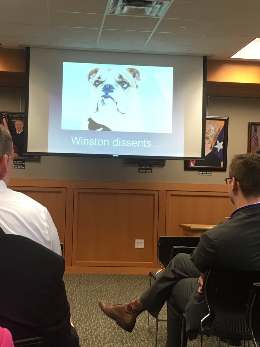 thedocketblog's tweet photo. Thanks to @Tex_Crim_App the very handsome Winston made an appearance in our Case Law Update @TDCAA #reallifelawandorder https://t.co/LZRVu15KkL