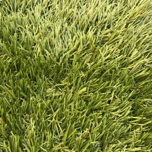 AGIgrass's tweet photo. Guess what type of #FakeGrass this is? (HINT: answer found on our website https://t.co/tVYrepYatC)  #quiztime #Torbay https://t.co/syEdS6RBbC
