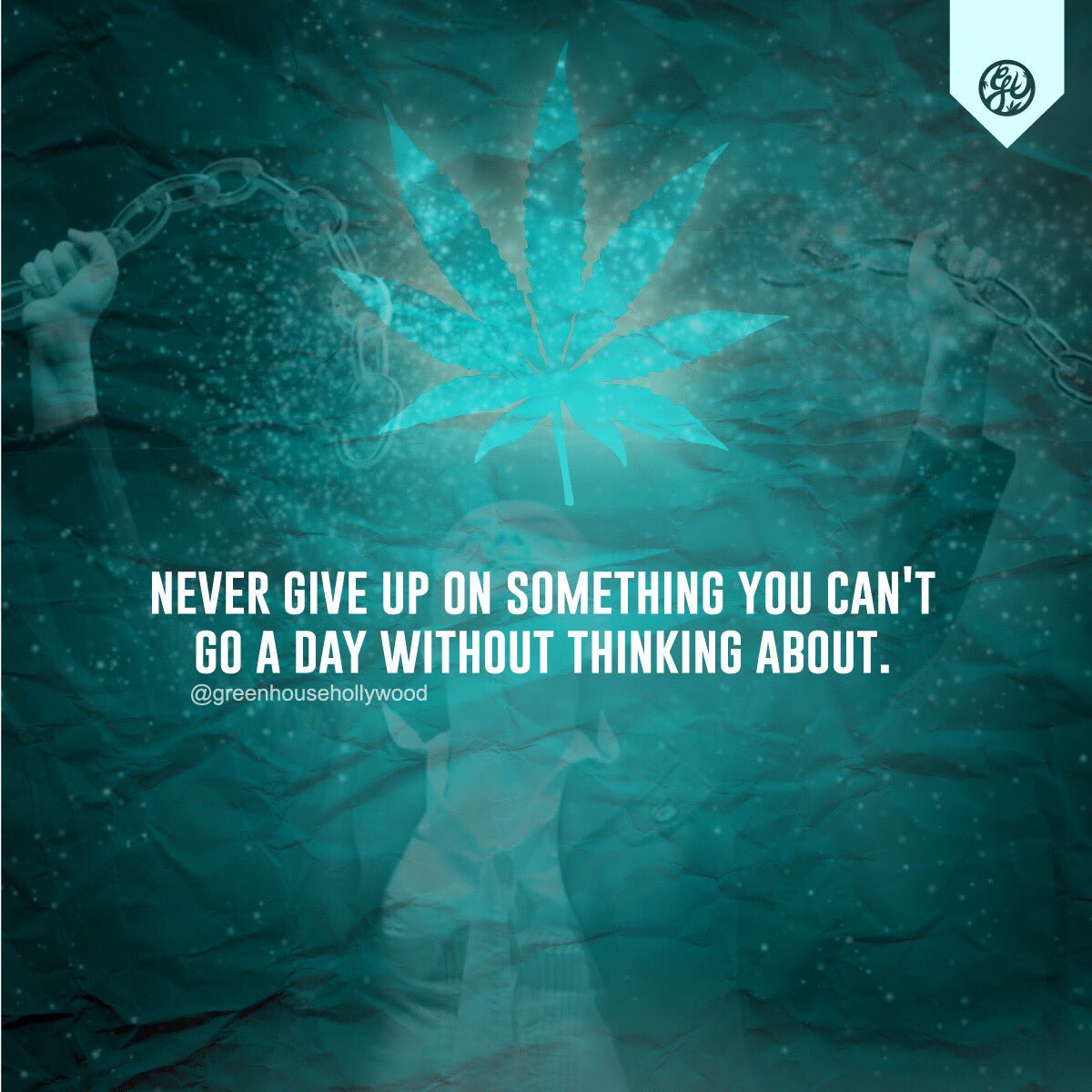 GreenhouseHC's tweet photo. https://t.co/BBjCCh7zGv