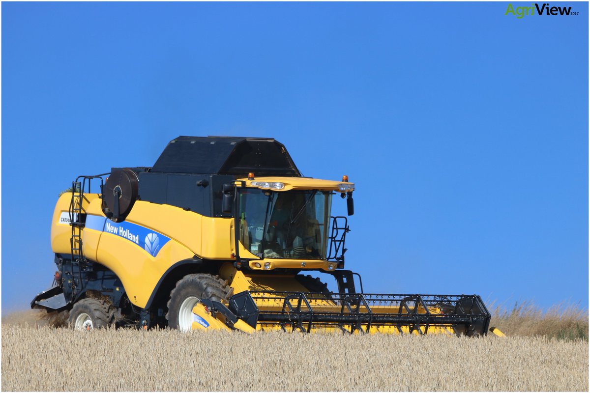 Harvest 2017. Co. Down.
