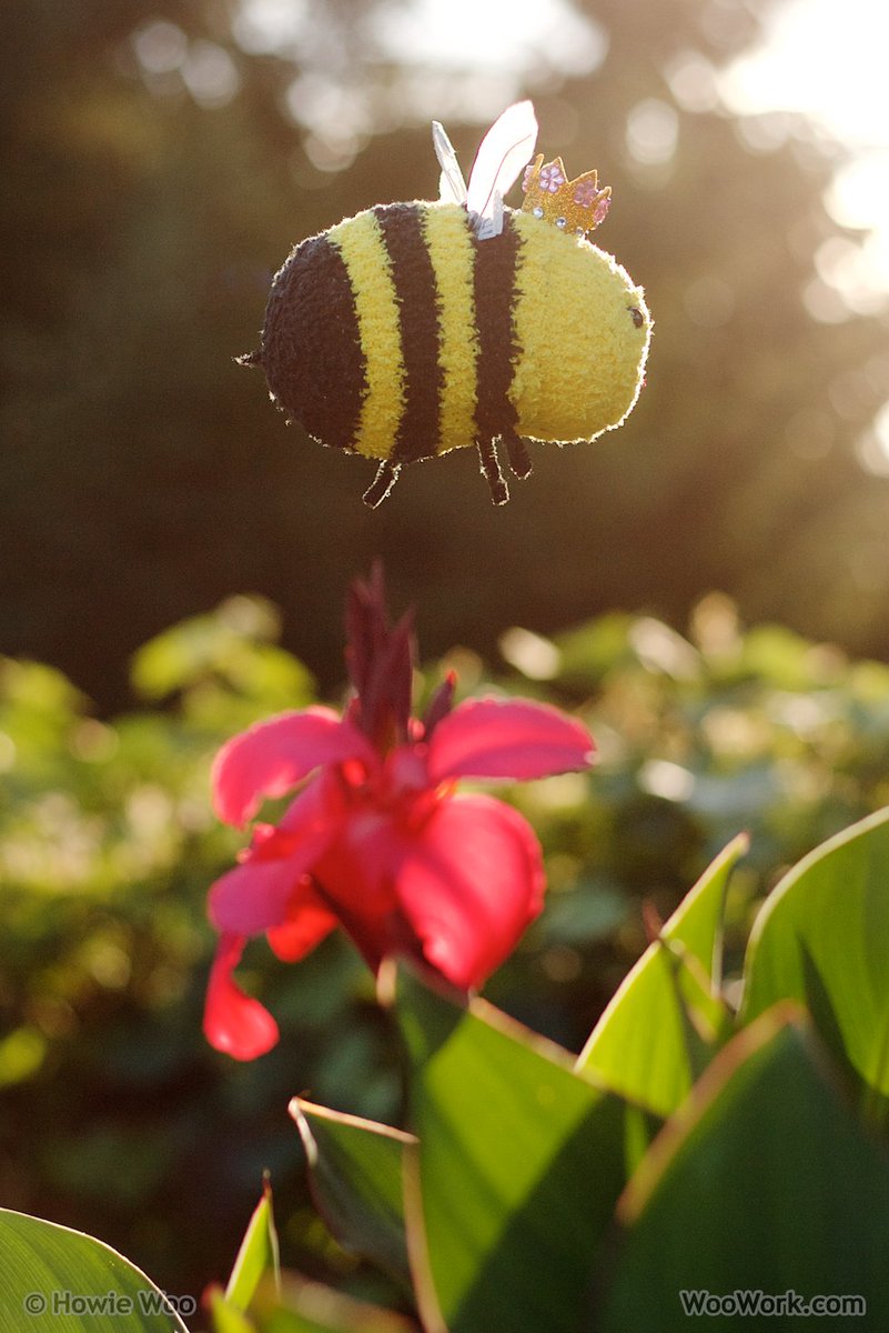 WooWork's tweet image. I sewed a 👑Queen Bee🐝 from a sock. The buzz at woowork.blogspot.ca/2017/07/sew-it…