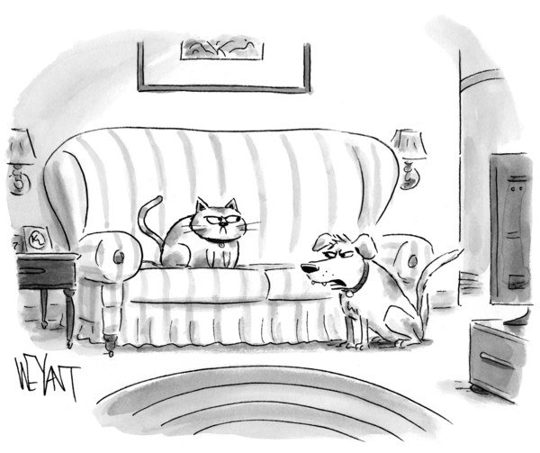 dlavine's tweet image. “Who are you kidding? You’re all about small government until you get stuck in a tree.” newyorker.com/cartoon/a20984 #txlege