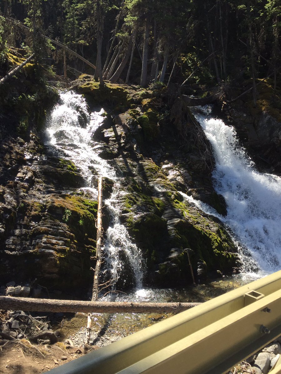 woozurdaddy's tweet photo. Walking the Upper Lake Trailhead in Kananaspis Country. It's great in Calgary... lots of outdoors stuff to do here. https://t.co/1Xj263bARe