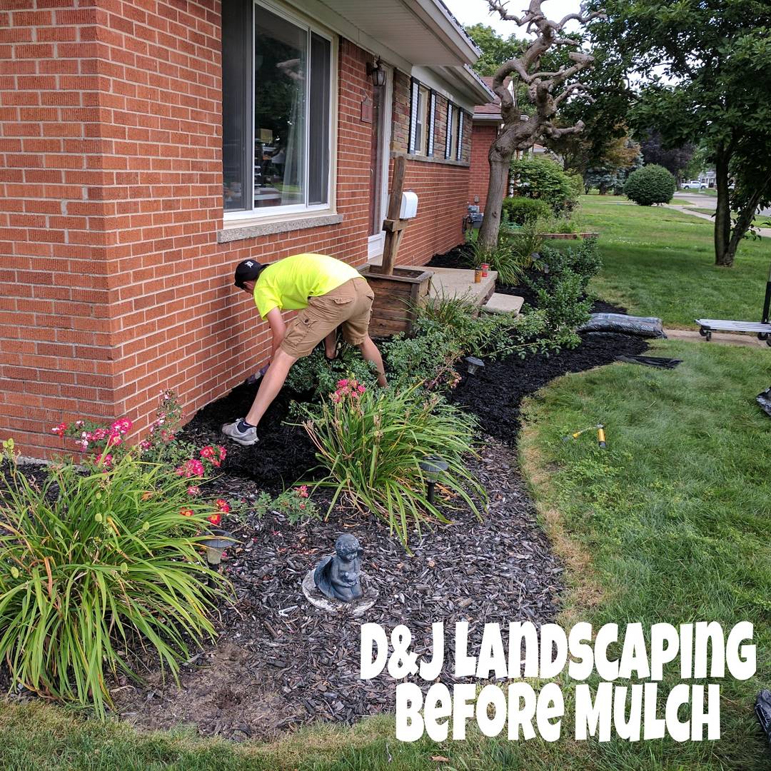 DJLandscape's tweet photo. #NewProfilePic https://t.co/0jq3wgwmav