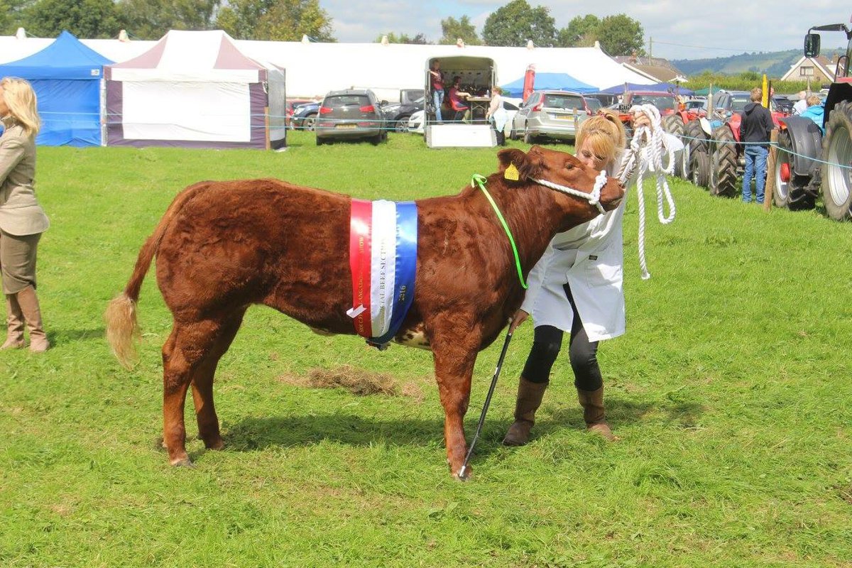 8 diwrnod i fynd tan y Sioe eleni. 8 days to go! #cefnogwcheichsioeaubach #cefngwlad #cystadlu #cymdeithasu