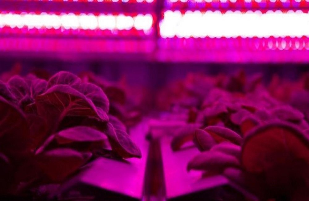 Agriculturers's tweet photo. Granjas verticales el futuro de la agricultura esta en las ciudades
https://t.co/1mvbT3iNP1 https://t.co/BgqNK2ddoW