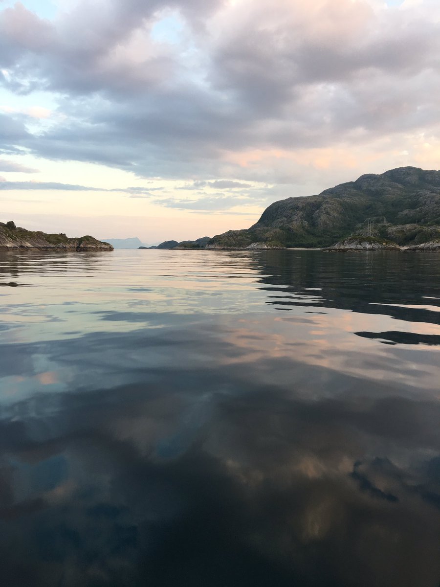 Linda_79's tweet photo. Nord Norge❤️ #landegode #bodøivinden #visitnorway #visitbodo #midnightsun https://t.co/r4TcqI6r8r