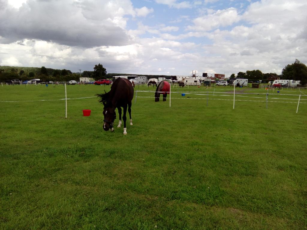 TSMEndurance's tweet photo. #Homeinternationalsegb #Allcheckedin #hack1000miles # pony hour #lindumspirit https://t.co/Sh0h7DePxt
