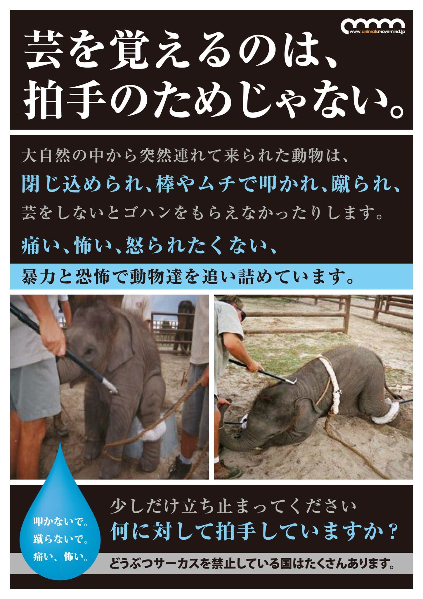 カツムラナツコ Twitter પર 動物サーカスの本当のこと ボリショイサーカス 木下大サーカス サーカスに動物は要らない カツムラナツコ Twitter પર 動物サーカスの本当のこと ボリショイサーカス 木下大サーカス サーカスに動物は要らない