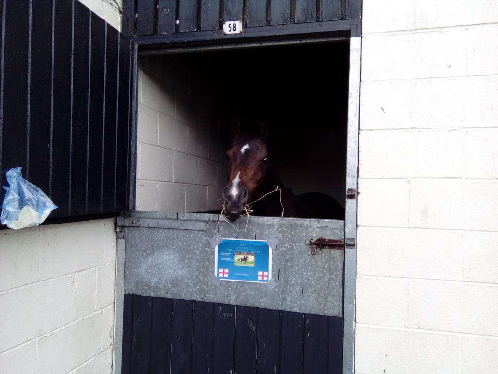 TSMEndurance's tweet photo. #Homeinternationalsegb #Allcheckedin #hack1000miles # pony hour #lindumspirit https://t.co/Sh0h7DePxt