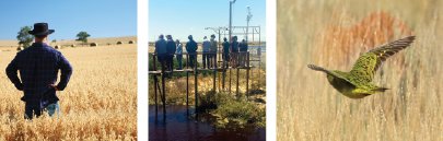 Our July eNews out now feat. Sensitive #Data Publication; #RemoteSensing for Crop Outlooks; #Environment Obs. Towers tern.org.au/July-eNewslett…