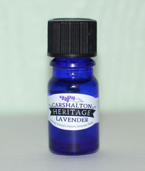 JustBeNaturalLP's tweet photo. Soothing essential oils like #lavender can help you relax and get you into the mood to sleep #beautysleep #CLHarvest @LavenderSM5 https://t.co/WHnuw8PisN