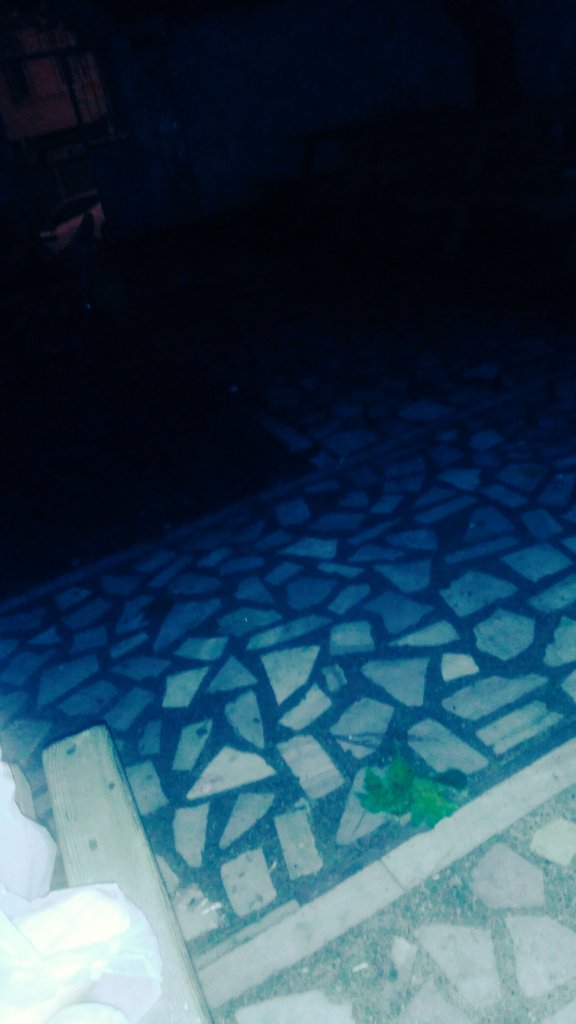 onlar rablerine iman etmiş genç yiğitlerdi