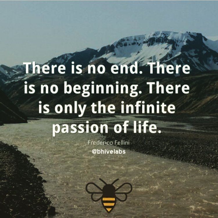 BeeBlogging tweet picture