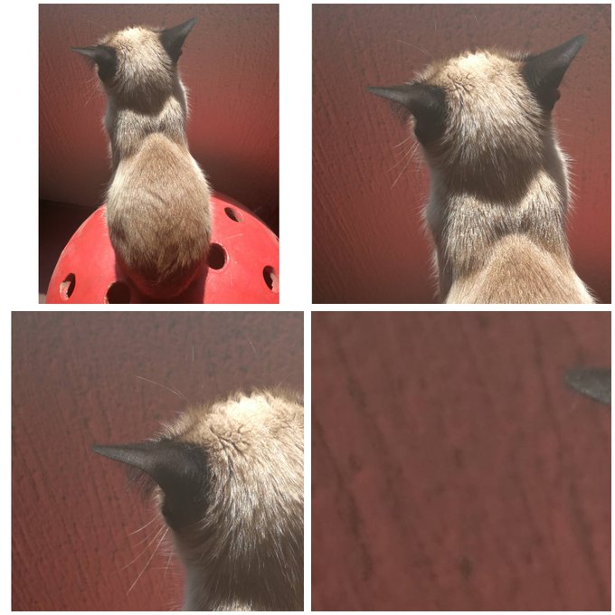 Watch Marcela Moss's leaked NSFW photo on TwXstars