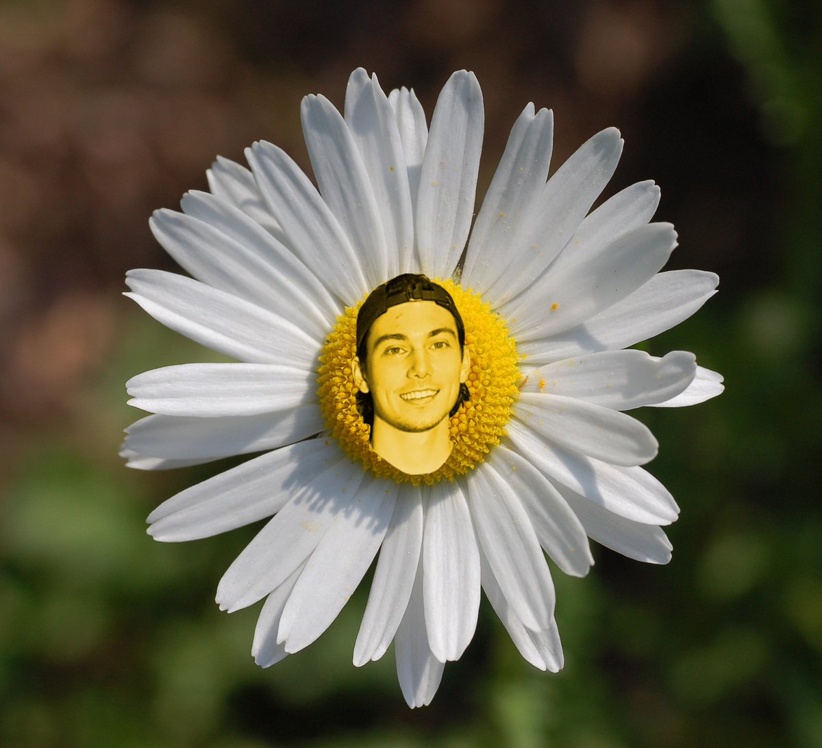 CollinIsFlower's tweet image. 